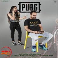 Pubg Sherry Sultanwindia MP3 Song, Pubg Album