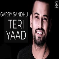 Teri Yaad Garry Sandhu MP3 Song, Teri Yaad Album