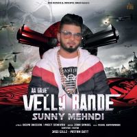 Aa Gaye Velly Bande Sunny Mehndi MP3 Song, Aa Gaye Velly Bande Album