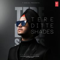Tere Ditte Shades Harzy Dhamu MP3 Song, Tere Ditte Shades Album