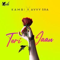 Teri Jaan Kambi Rajpuria MP3 Song, Teri Jaan Album