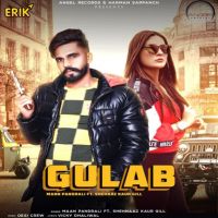 Gulab Maan Pandrali MP3 Song, Gulab Album
