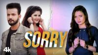 Sorry Ruchika Jangid MP3 Song, Sorry Album