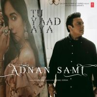 Tu Yaad Aya Adnan Sami MP3 Song, Tu Yaad Aya Album