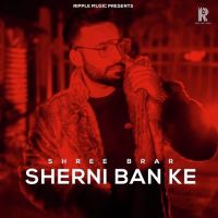 Sherni Ban Ke Shree Brar MP3 Song, Sherni Ban Ke Album