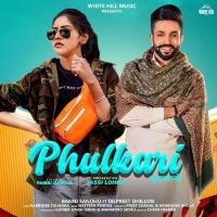 Download Phulkari Baani Sandhu, Dilpreet Dhillon mp3 song, Phulkari lyrics