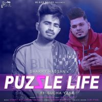 Puzzle Life Sharry Hassan, Sucha Yaar MP3 Song, Puzzle Life Album