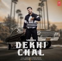 Dekhi Chal Tyson Sidhu, Gurlez Akhtar MP3 Song, Dekhi Chal Album