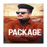 Package Sukhshan, Harry Lidder MP3 Song, Package Album