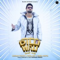 Dilli Wali Roshan Prince, Payal Dev MP3 Song, Dilli Wali Album