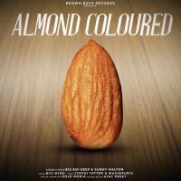 Almond Coloured Big Boi Deep, Sunny Malton MP3 Song, Almond Coloured Album