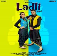 Ladli Nirwair MP3 Song, Ladli Album