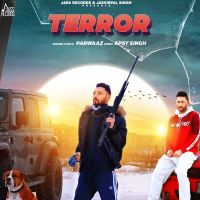 Terror Parwaaz MP3 Song, Terror Album