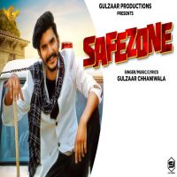 Safezone Gulzaar Chhaniwala MP3 Song, Safezone Album