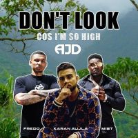 Dont Look x So High (Remix) AJD, Karan Aujla, MIST, Fredo MP3 Song, Dont Look x So High (Remix) Album