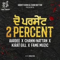 2 Percent Aardee, Chani Nattan MP3 Song, 2 Percent Album