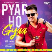 Pyar Ho Gyaa Husn Purewal MP3 Song, Pyar Ho Gyaa Album
