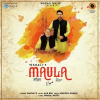 Maula Lakhwinder Wadali, Ustad Puran Chand Wadali MP3 Song, Maula Album