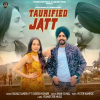 Taurified Jatt Sudesh Kumari, Dilbag Sandhu MP3 Song, Taurified Jatt Album