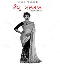 Tempu Sultaan Nseeb MP3 Song, Tempu Sultaan Album