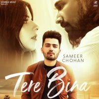 Tere Bina Sameer Chohan MP3 Song, Tere Bina Album