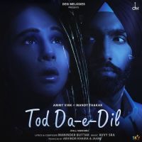 Tod Da E Dil (Full Version) Ammy Virk MP3 Song, Tod Da E Dil (Full Version) Album
