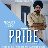 Pride Nseeb MP3 Song, Pride Album