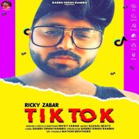 Tik Tok Ricky Zabar MP3 Song, Tik Tok Album