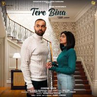 Tere Bina Ginda Randhawa MP3 Song, Tere Bina Album