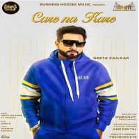 Care Na Kare Geeta Zaildar, Sultaan MP3 Song, Care Na Kare Album