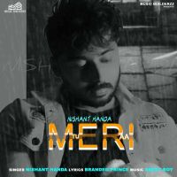 Tu Meri Aa Nishant Handa MP3 Song, Tu Meri Aa Album