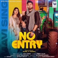 No Entry Mavi Singh, Preet Kaur MP3 Song, No Entry Album