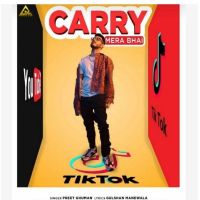 Download Carry Mera Bhai Gulshan Manewala, Preet Ghuman mp3 song, Carry Mera Bhai lyrics