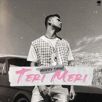 Teri Meri Mickey Singh MP3 Song, Teri Meri Album