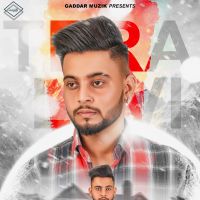 Rabb Jaane Tera Lavi MP3 Song, Rabb Jaane Album
