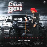 Crack Bone Preet Gurpreet MP3 Song, Crack Bone Album