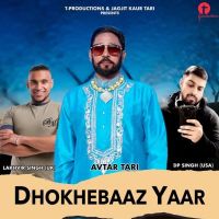 Dhokhebaaz Yaar Avtar Tari MP3 Song, Dhokhebaaz Yaar Album