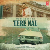 Tere Nal Waris Sekhon MP3 Song, Tere Nal Album