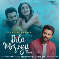 Dila Mereya Harish Verma MP3 Song, Dila Mereya Album