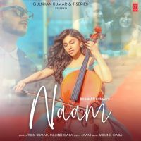 Naam Tulsi Kumar, Milind Gaba MP3 Song, Naam Album