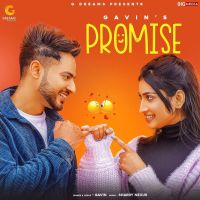 Promise Gavin MP3 Song, Promise Album