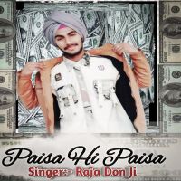 Paisa Hi Paisa Raja Don Ji MP3 Song, Paisa Hi Paisa Album
