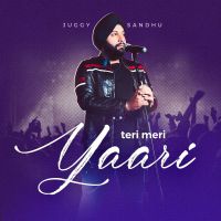 Teri Meri Yaari Juggy Sandhu MP3 Song, Teri Meri Yaari Album