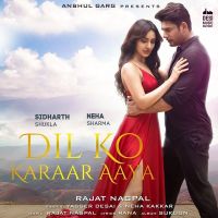 Dil Ko Karaar Aaya (From Sukoon) Yasser Desai, Neha Kakkar MP3 Song, Dil Ko Karaar Aaya (From Sukoon) Album