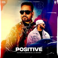 Positive Dil B MP3 Song, Positive Album