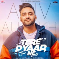 Tere Pyar Ne Ariv Aulakh MP3 Song, Tere Pyar Ne Album