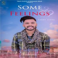 Some Feelings Harry Sidhu MP3 Song, Some Feelings Album