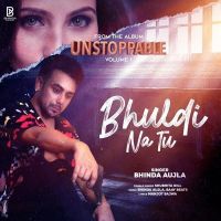 Bhul Di Na Tu Bhinda Aujla, Shubhita Gill MP3 Song, Bhul Di Na Tu Album