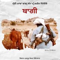 Baaghi Simu Dhillon MP3 Song, Baaghi Album