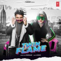 Download Twin Flame Pardhaan mp3 song, Twin Flame lyrics